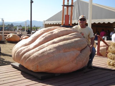 Seeds With a Pedigree: 1,700 -1,900 lbs