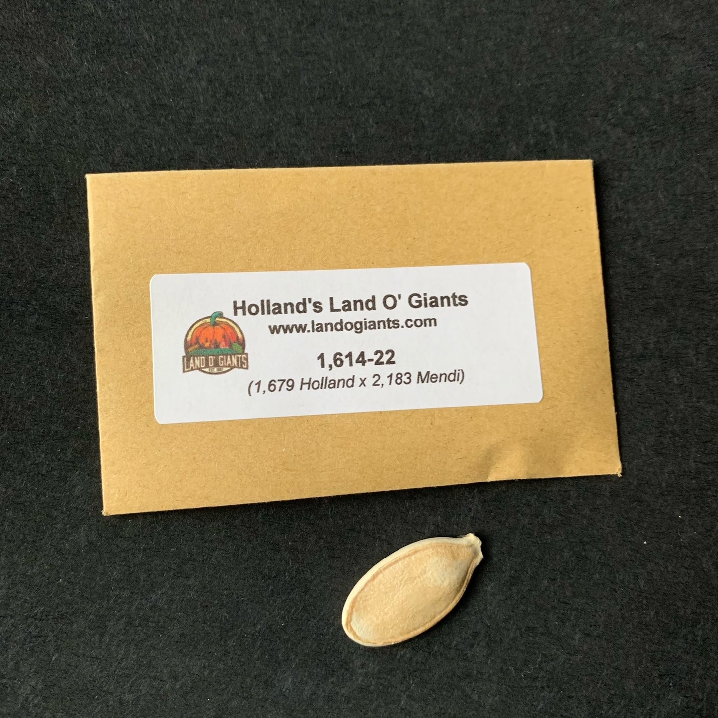 Seeds With a Pedigree: 1,500 -1,699 lbs