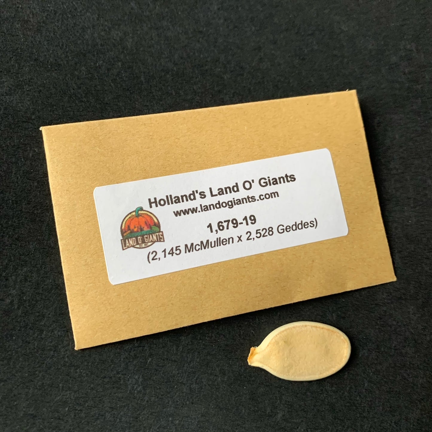 Seeds With a Pedigree: 1,500 -1,699 lbs