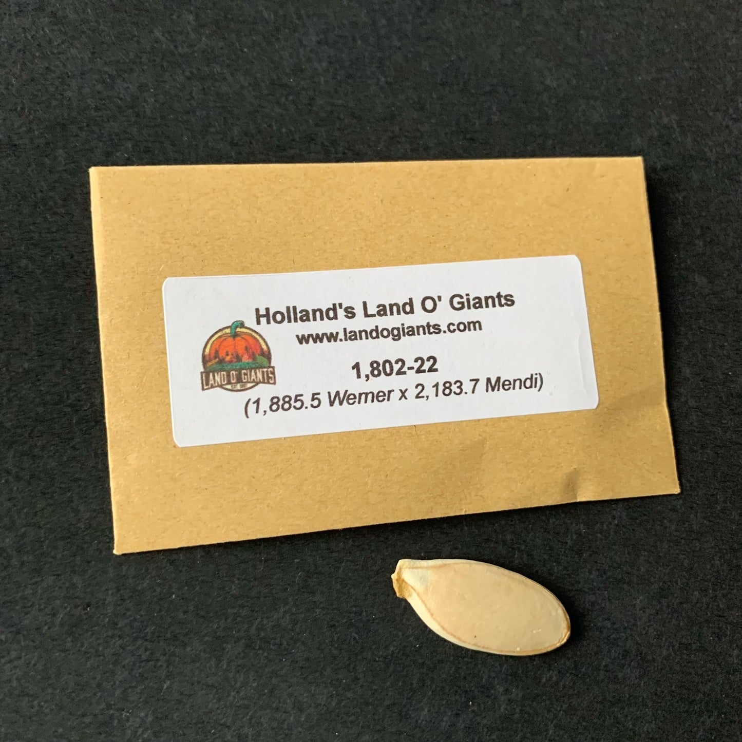 Seeds With a Pedigree: 1,800 -1,899 lbs