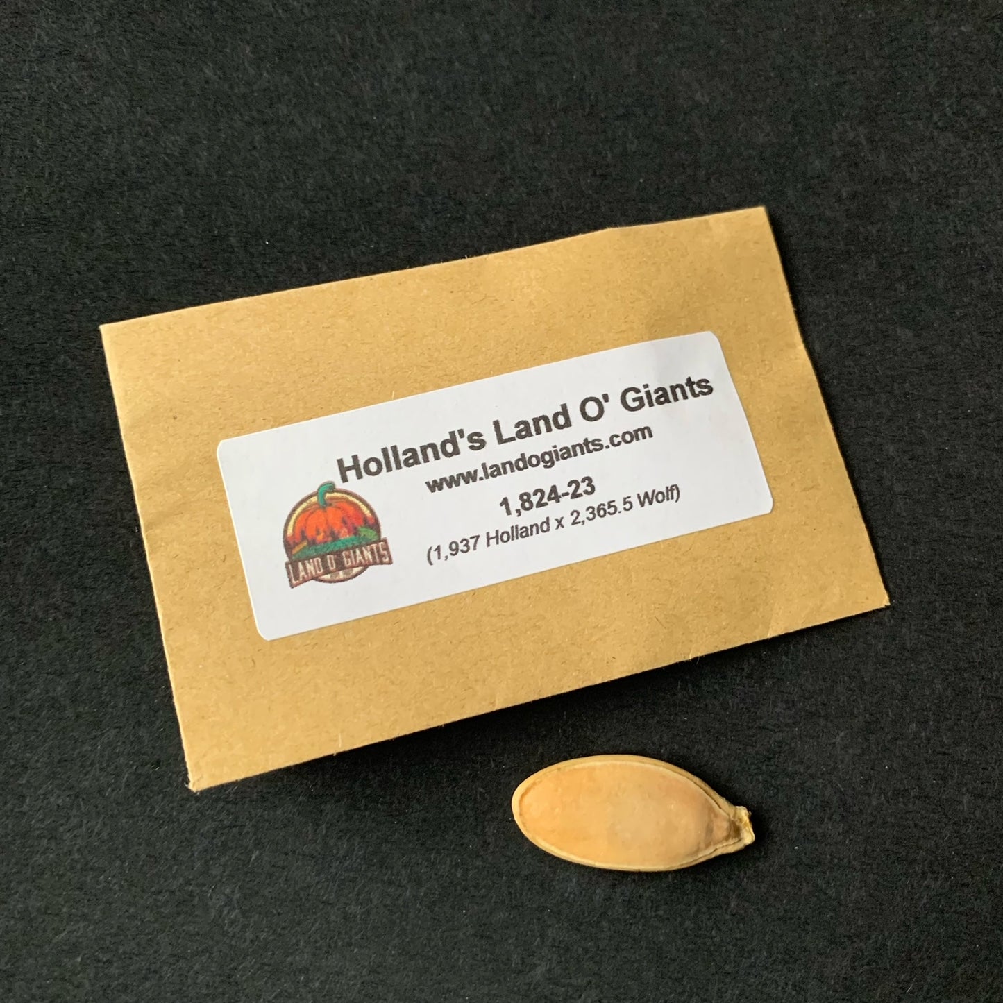Seeds With a Pedigree: 1,800 -1,899 lbs