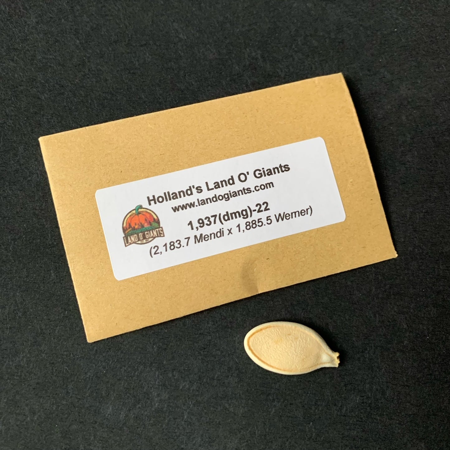 Seeds With a Pedigree: 1,800 -1,899 lbs