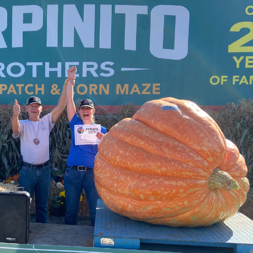 Seeds With a Pedigree: 800 - 1,000 lbs