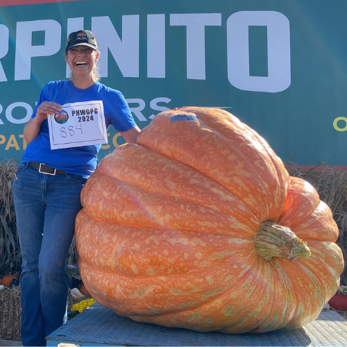 Seeds With a Pedigree: 800 - 1,000 lbs