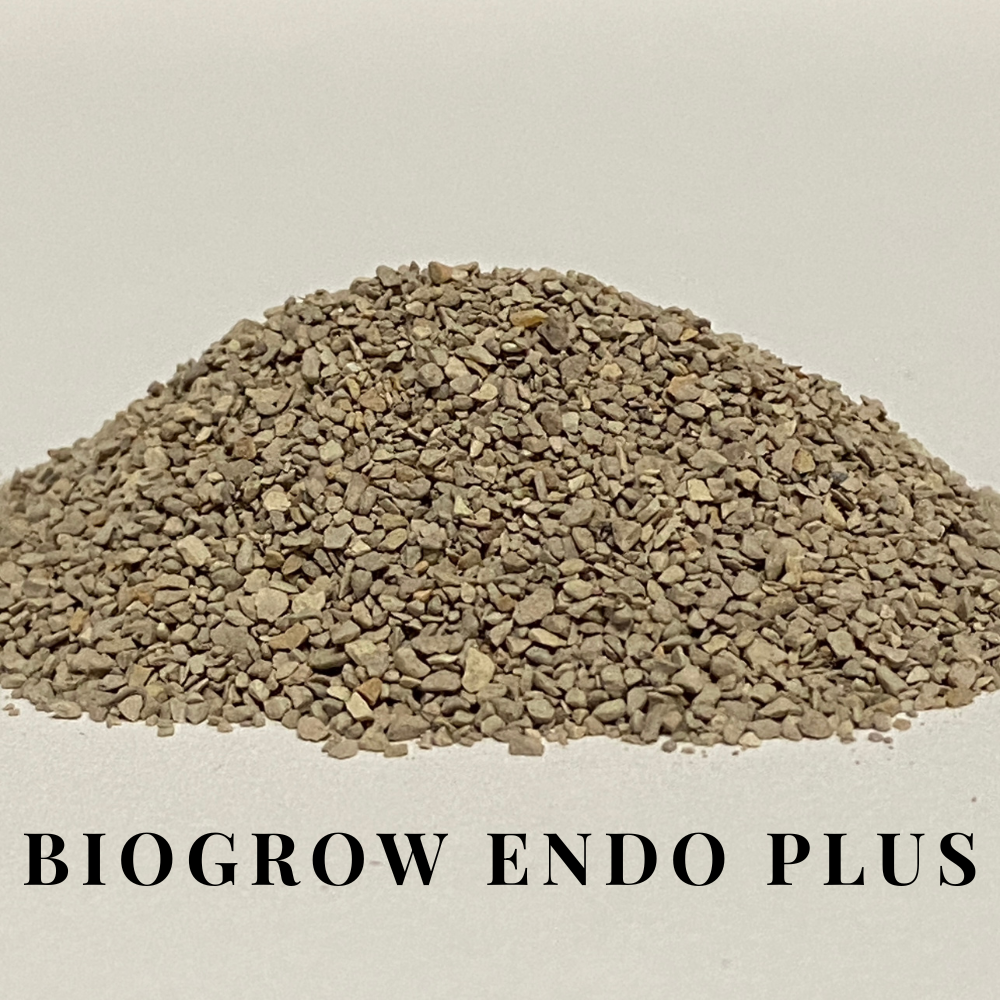 Biogrow Endo Plus