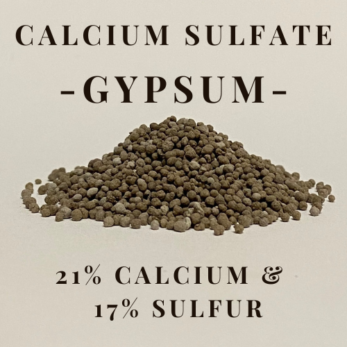 Calcium Sulfate