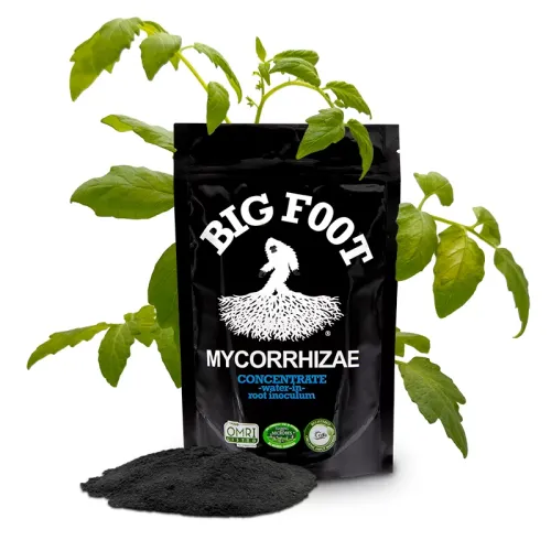 Big Foot Mycorrhizae Concentrate 8 oz.