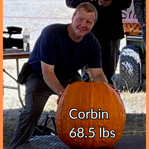 Pedigree Field Pumpkin Seeds: 50-100 lbs