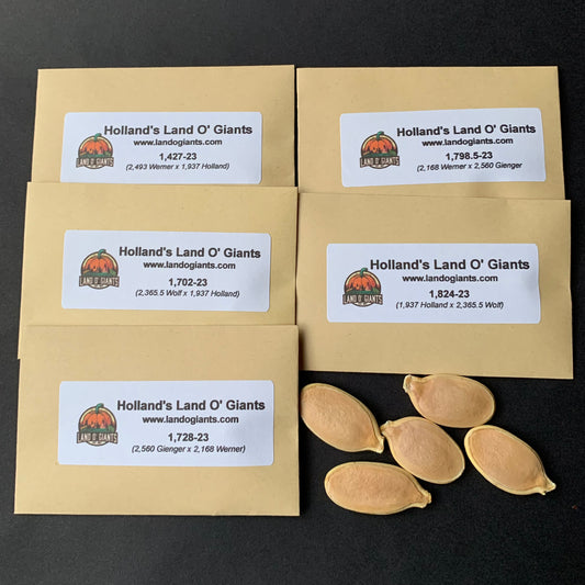 2023 Holland Seeds Complete Collection