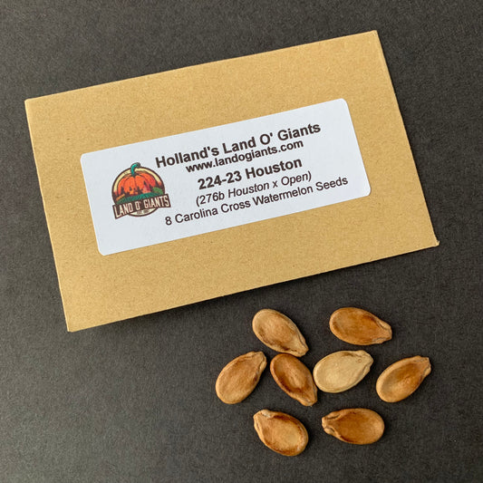 Carolina Cross Premium Seeds