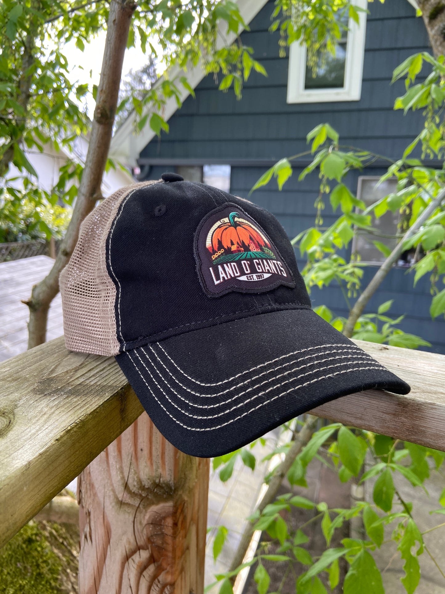 Land O' Giants Hat