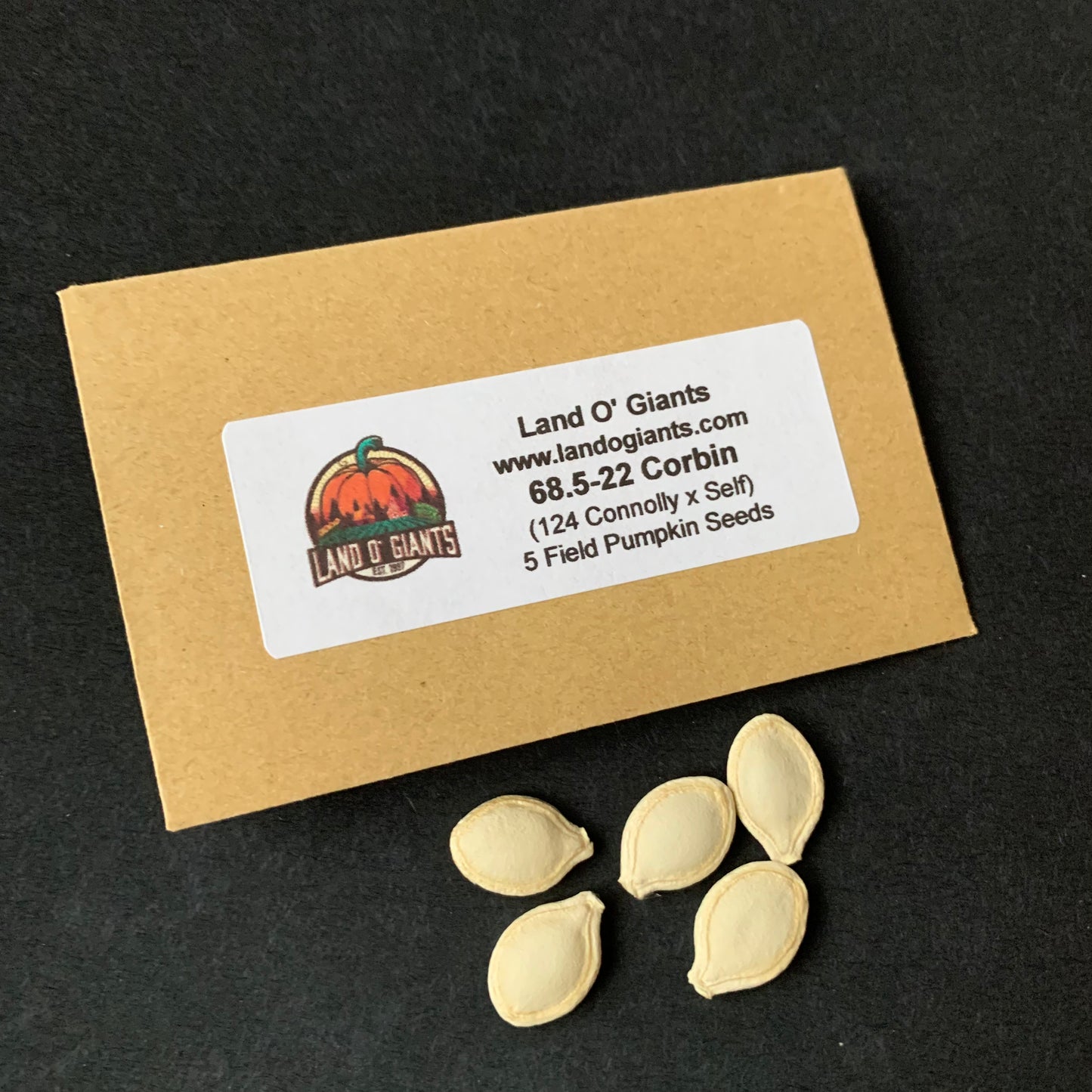 Pedigree Field Pumpkin Seeds: 50-100 lbs