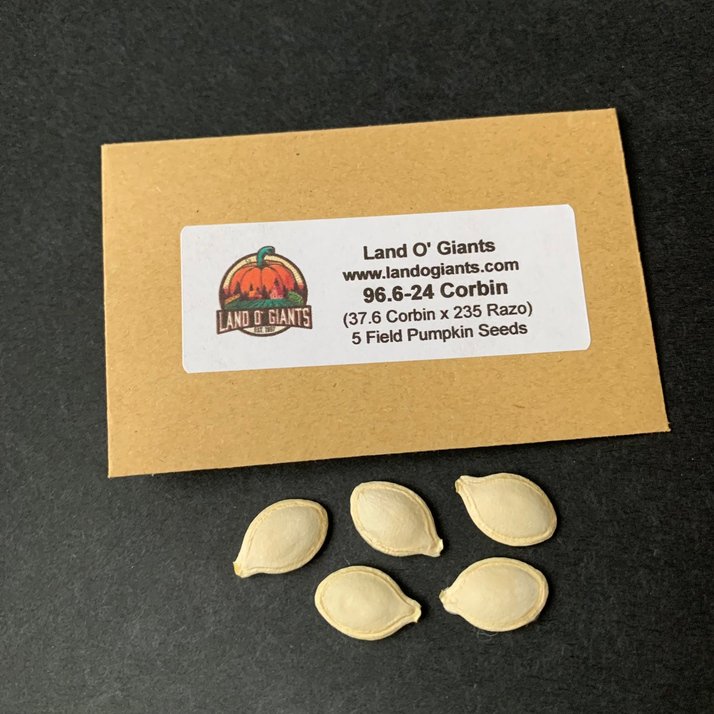 Pedigree Field Pumpkin Seeds: 50-100 lbs