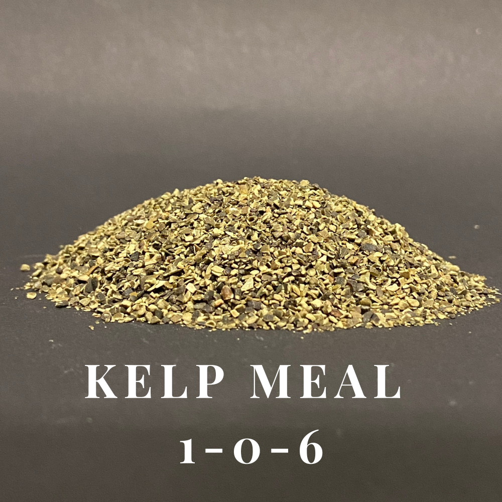 Kelp Meal 1-0-6
