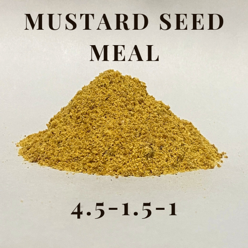 mustard seeds for garden Mustard Seed Meal 4.5-1.5-1 – Land O' Giants