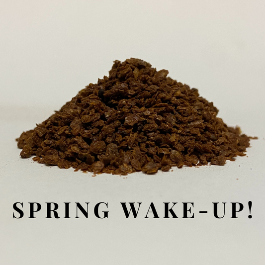 Spring Wake-Up!