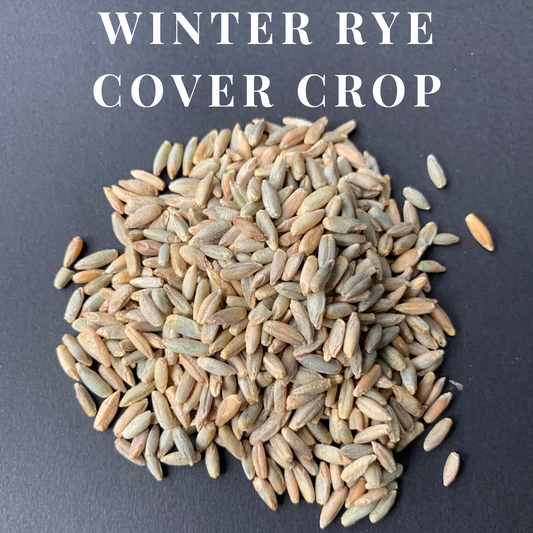 Winter Rye Cover Crop Seed