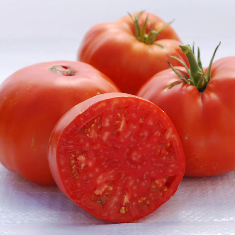 Brandywine Tomato Seeds