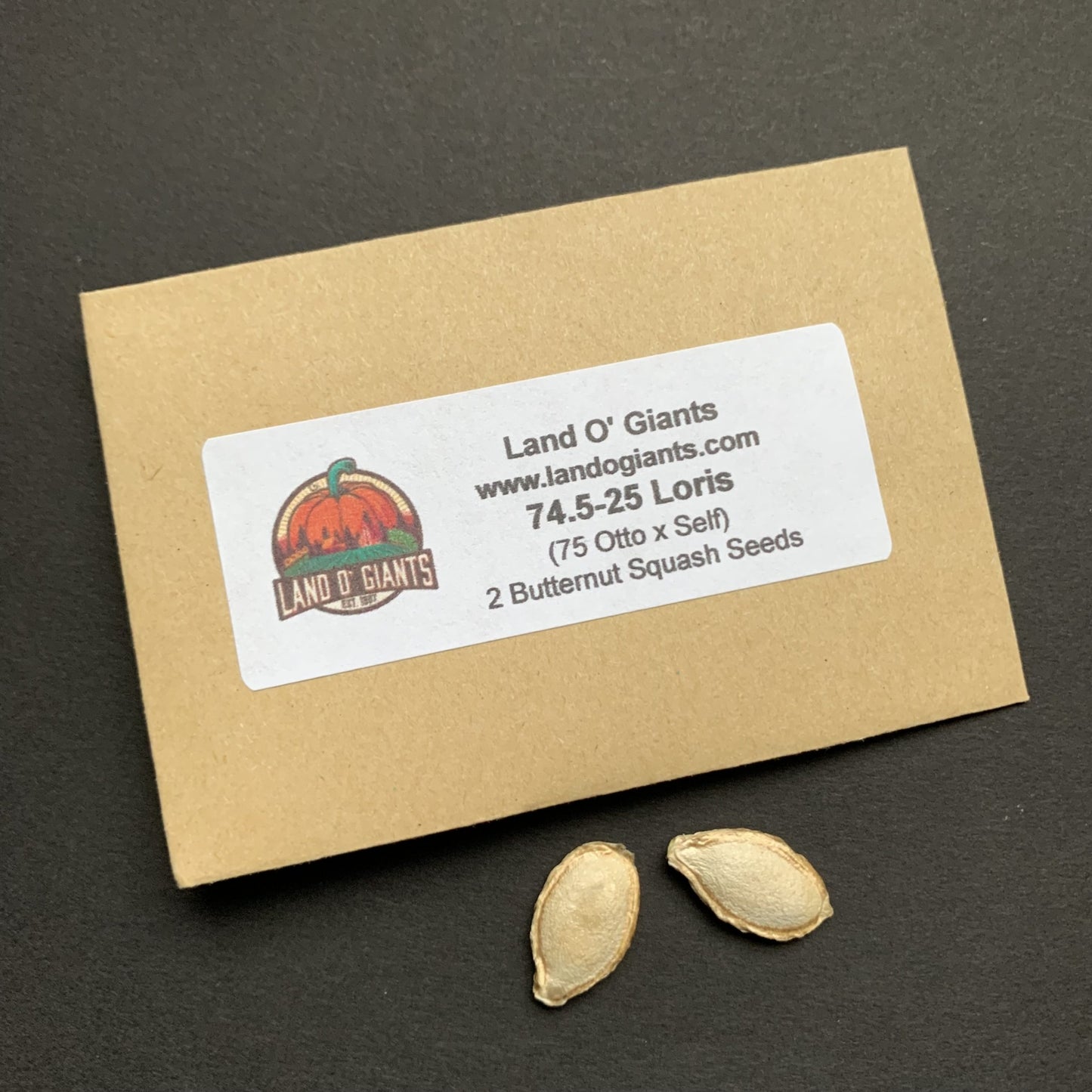 Giant Butternut Squash