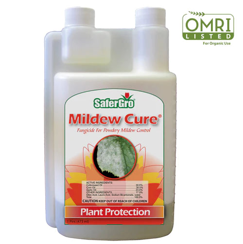 Mildew Cure