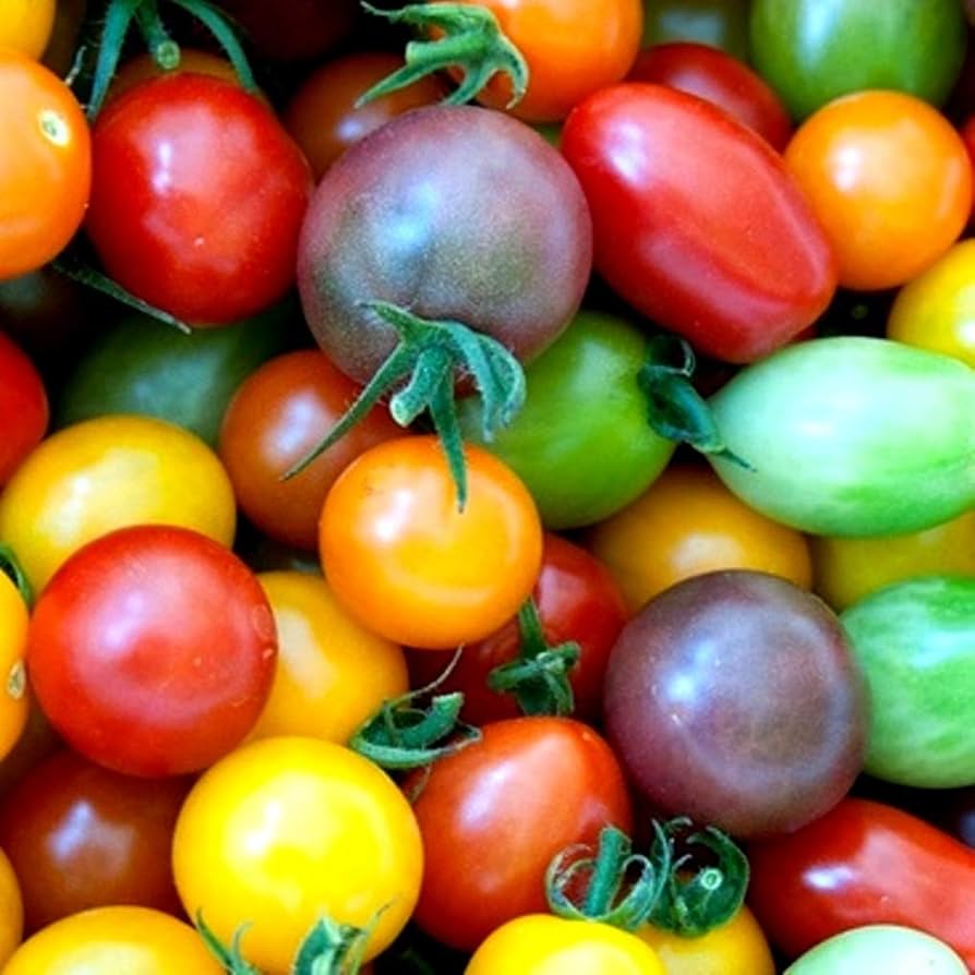 Rainbow Cherry Tomato Blend