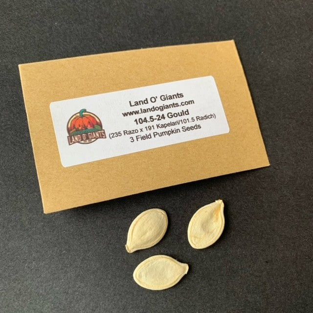 Pedigree Field Pumpkin Seeds: 100+ lbs