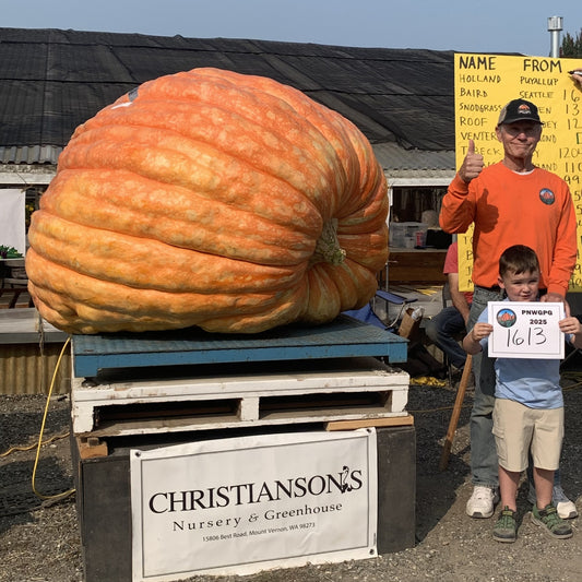 2025 Holland Seeds Collection