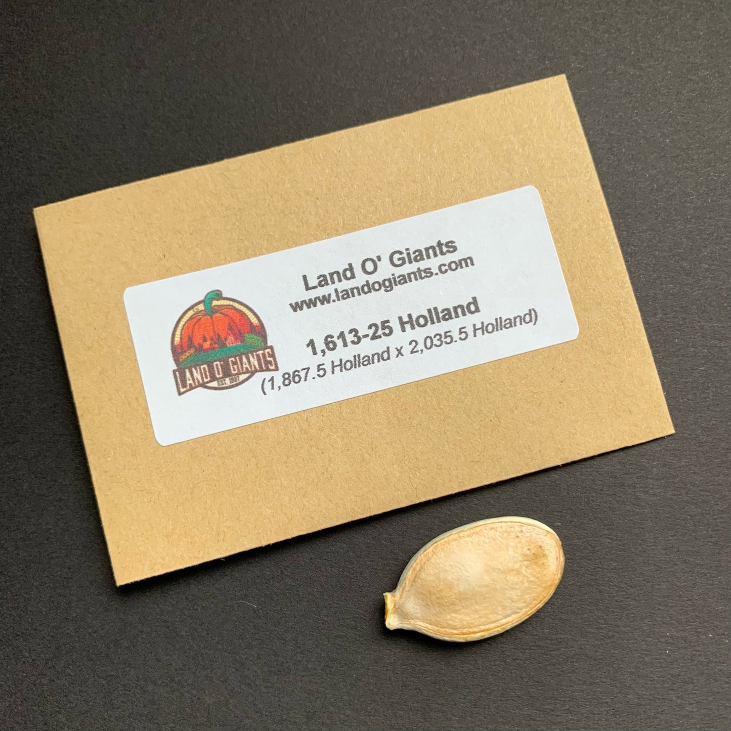 Seeds With a Pedigree: 1,500 -1,699 lbs