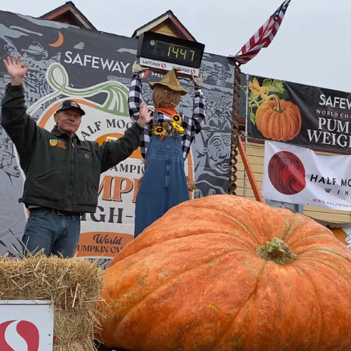 Seeds With a Pedigree: 1,300 - 1,499 lbs