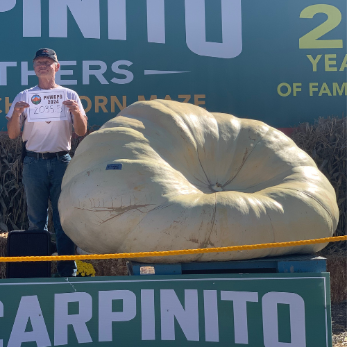 Seeds With a Pedigree: 2,000+ lbs