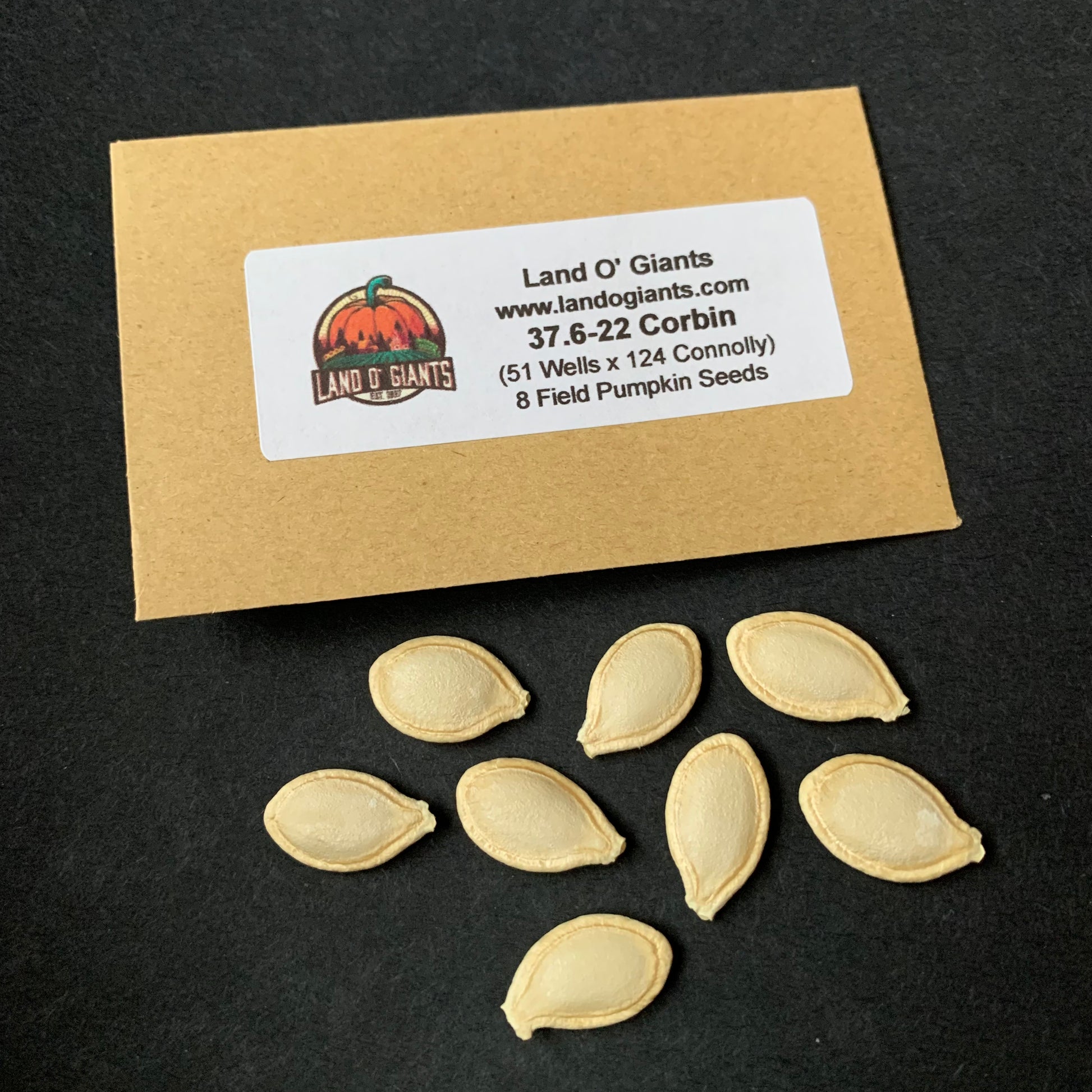 gympie gympie plant seeds for sale Pedigree Field Pumpkin Seeds: Up to 50 lbs – Land O' Giants