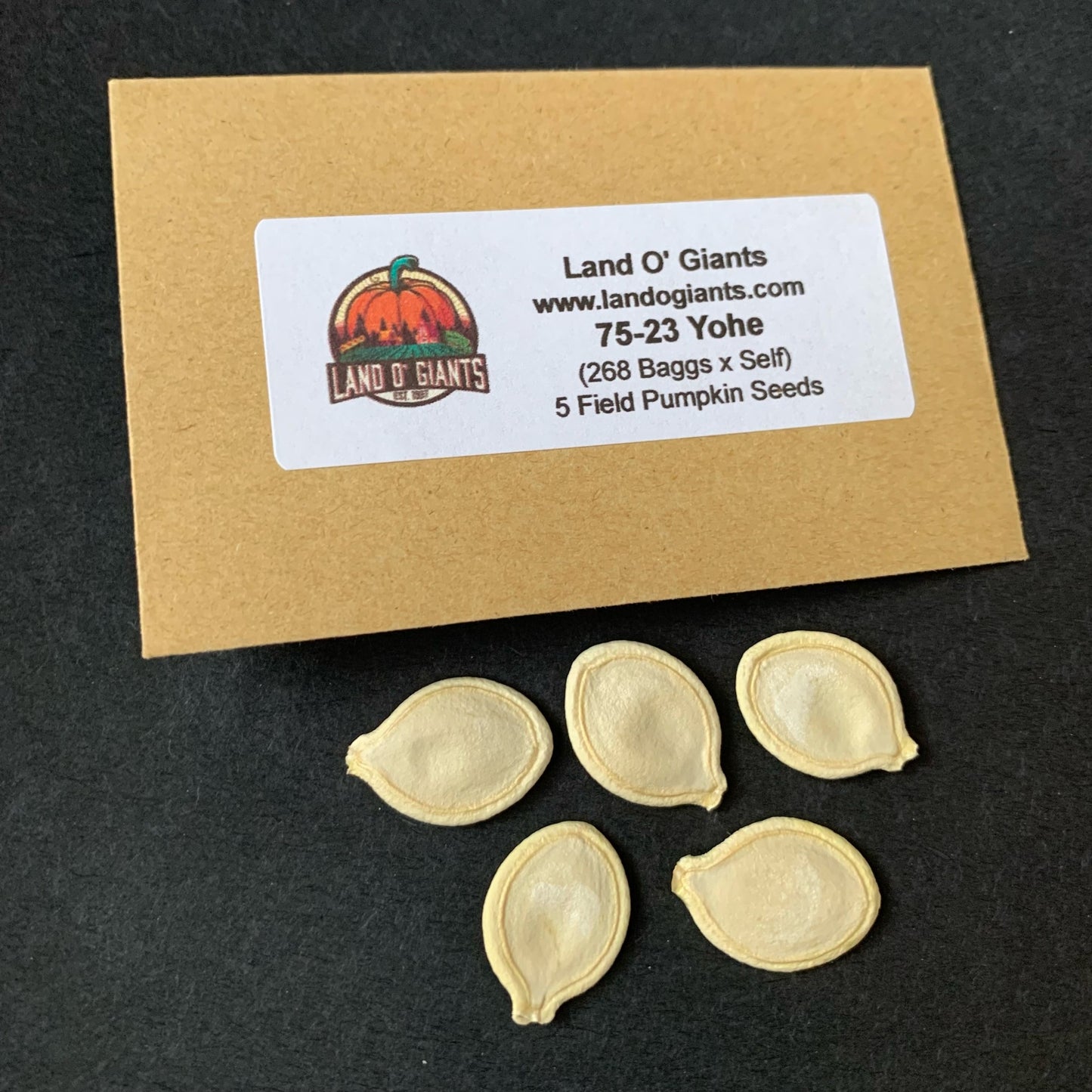 Pedigree Field Pumpkin Seeds: 50-100 lbs