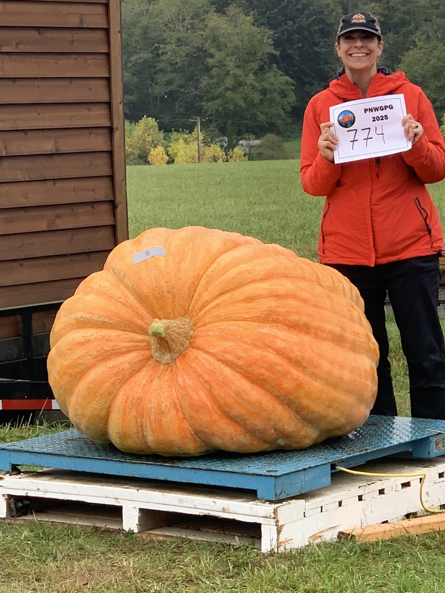 Seeds With a Pedigree: 750 - 999 lbs