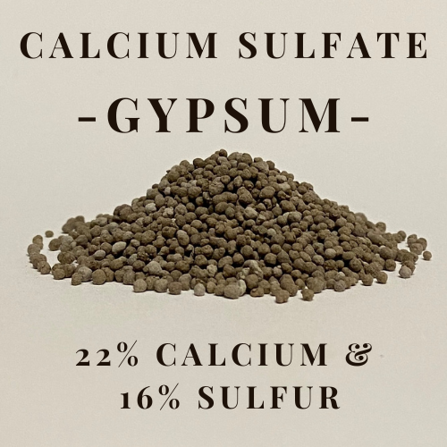 Calcium Sulfate