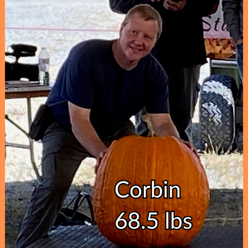 Giant Field Pumpkin