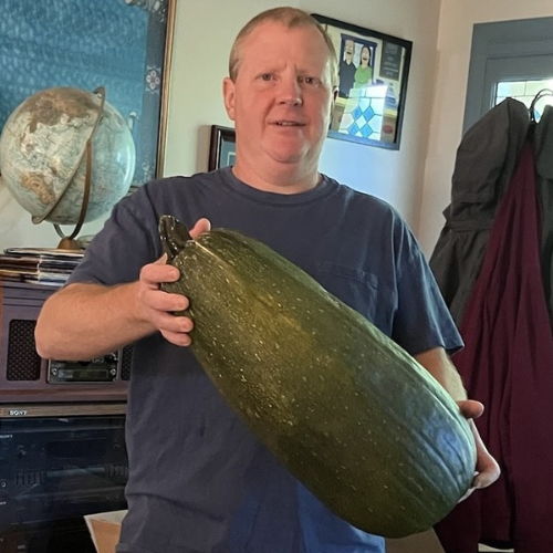 Giant Zucchini Seeds