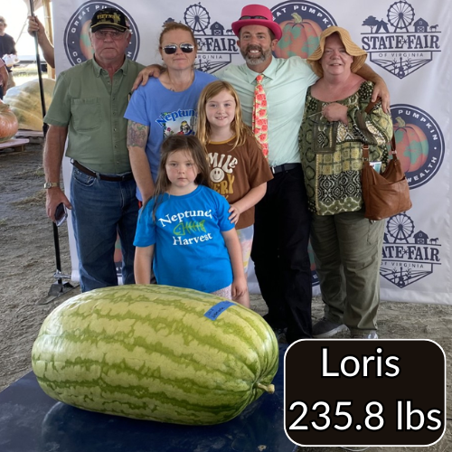 Carolina Cross Premium Seeds