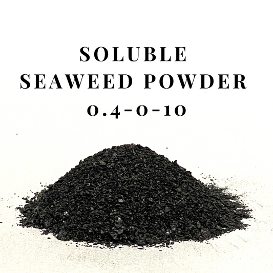 Seaweed Powder Soluble 0.4-0-10