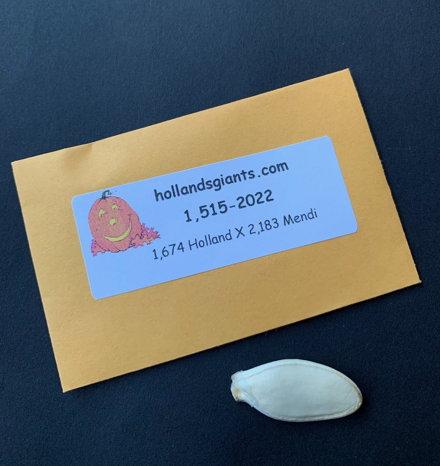 Seeds With a Pedigree: 1,500 -1,699 lbs